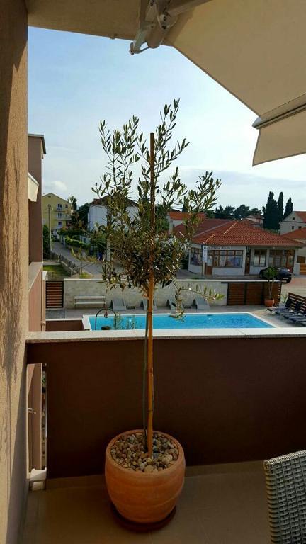 Antonija Apartments With Pool Biograd Na Moru Exterior foto